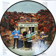 Carica l'immagine nel visualizzatore di Gallery, THE CRANBERRIES - IN THE END -VINILE (LIMITED PICTURE)
