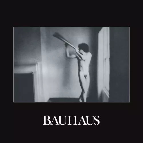 BAUHAUS - In The Flat Field - VINILE