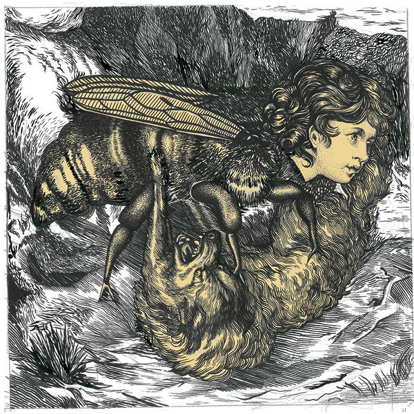 Calendula ‎– Hiveminds - De Brevitate Vitae VINILE