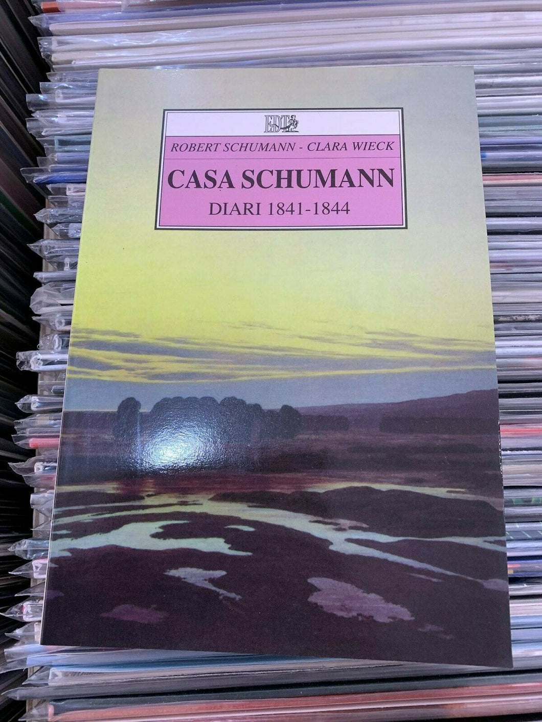 Casa Schumann. Diari 1841-1844 - Schumann Robert, Wieck Clara