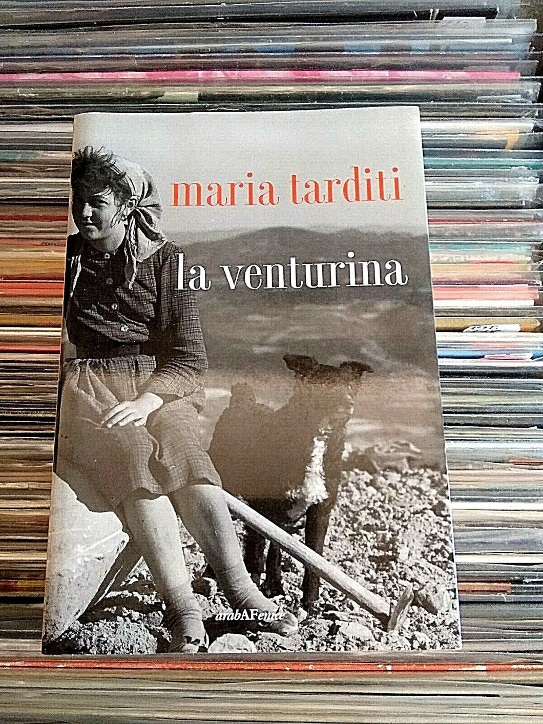 La vita moderna - Susan Vreeland