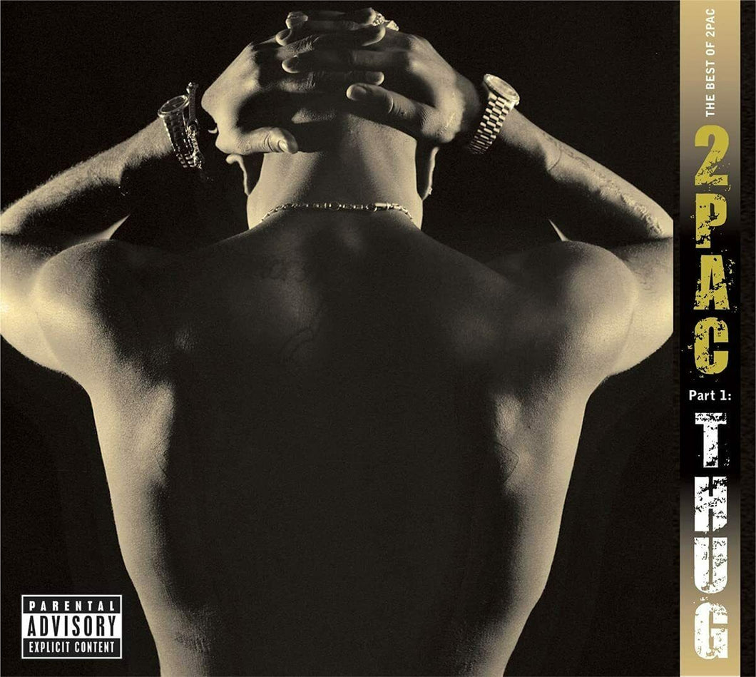 2PAC - The best of part 1: Thug - VINIILE