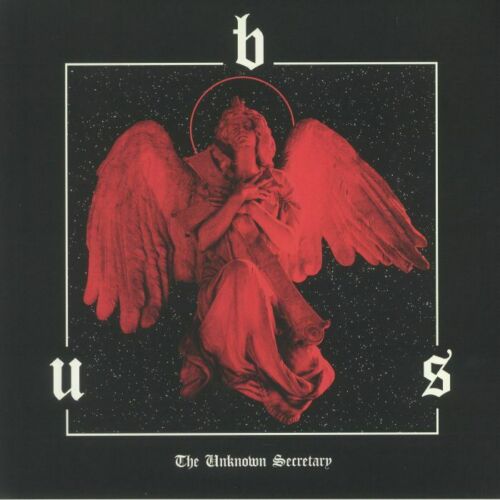 BUS - The Unknown Secretary - VINILE